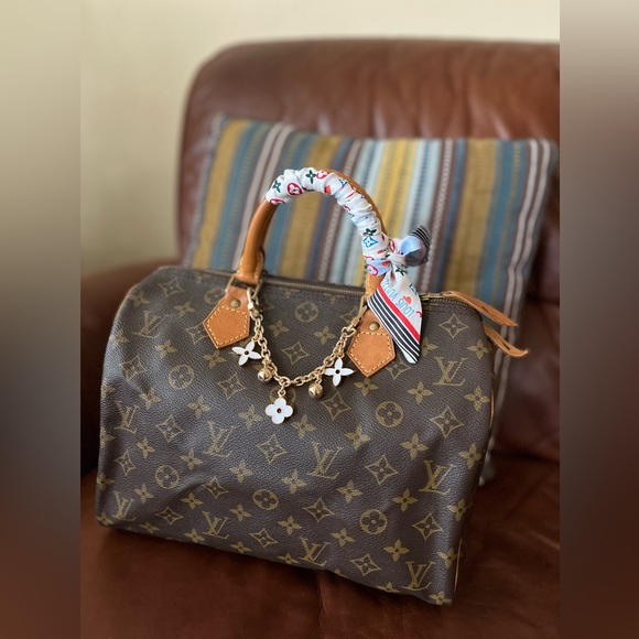 Louis Vuitton Handbags - Authentic Louis Vuitton Monogram canvas Speedy 30